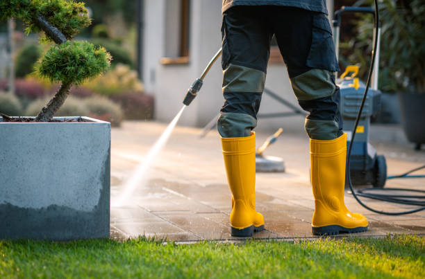 Best Deck Cleaning Services  in Central Islip, NY